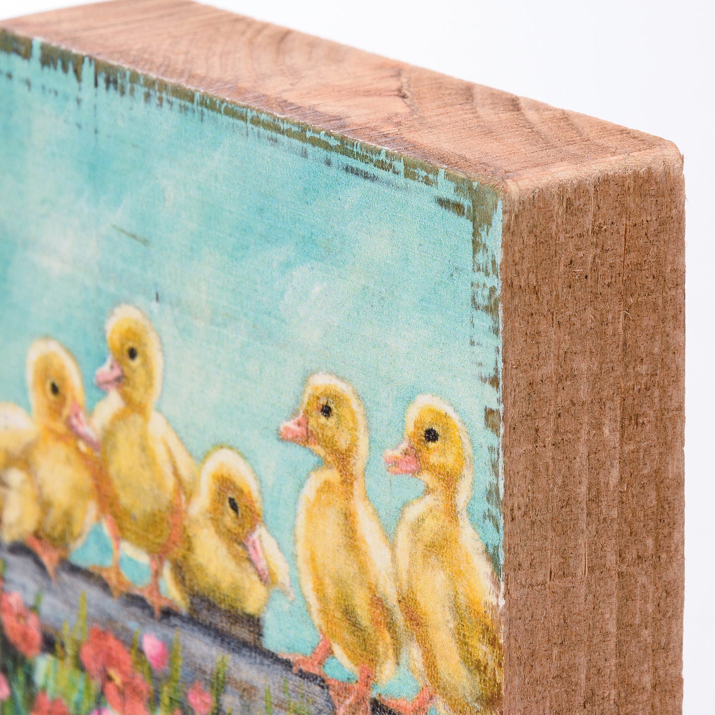 Block Sign - Ducklings